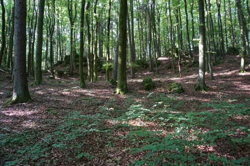 Bayreuth 03