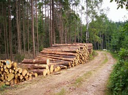 Harvestereinsatz