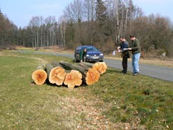Holzüberweisung