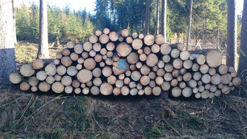Polter neu
