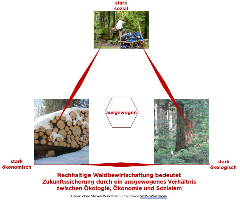 Nachhaltigkeitsbild