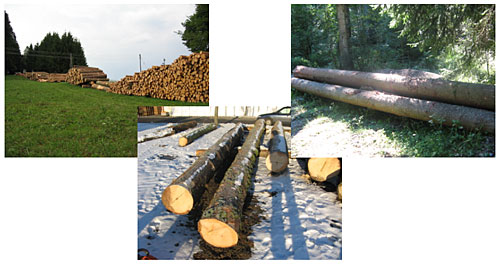 Holzverkauf