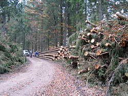 Wegebau
