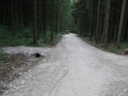 Lkw-fahrbarer Forstweg